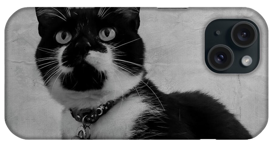 Cat iPhone Case featuring the photograph Pretty Kitty by Cathy Kovarik