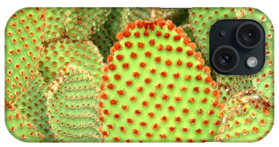 Prickley Pear Cactus iPhone Case featuring the photograph Prickley Pear Cactus by Adrienne Wilson