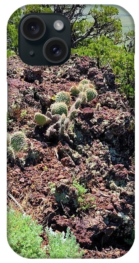 Prickly Pears iPhone Case featuring the photograph Prickly Pears on Capulin Volcano by Ally White