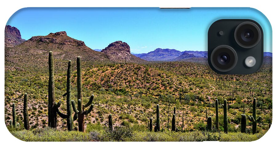 Arizona Desert iPhone Case featuring the photograph Prime Seats by Susie Loechler