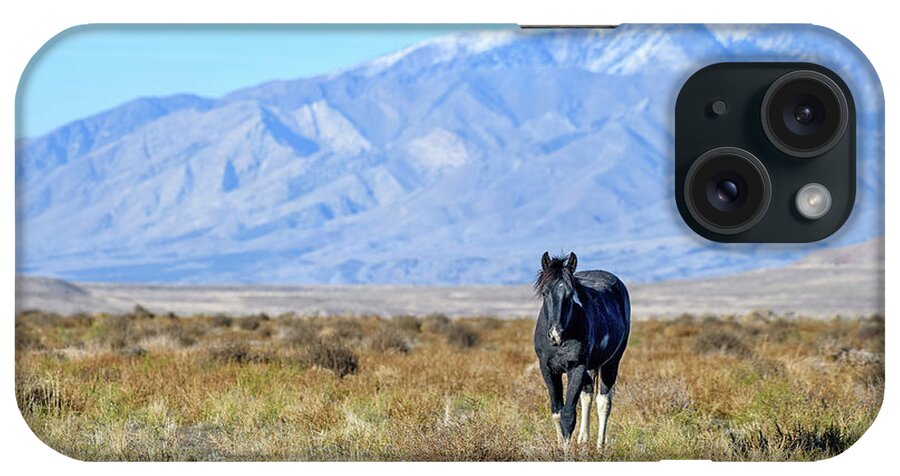 Horse iPhone Case featuring the photograph Princess Valentina by Fon Denton