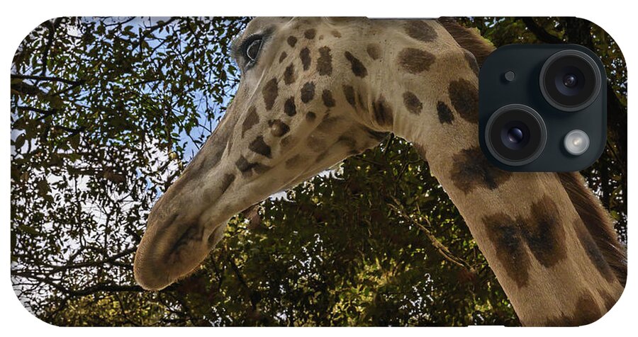 Africa iPhone Case featuring the photograph Profile of a Giraffe by Laura Hedien
