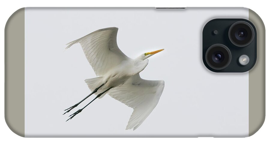 Egret iPhone Case featuring the photograph Profile of Flight by Ray Silva
