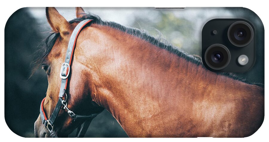 Horse iPhone Case featuring the photograph Profile view of a brown horse II by Dimitar Hristov