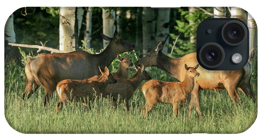 Elk iPhone Case featuring the photograph Protective Moms by Ronnie And Frances Howard