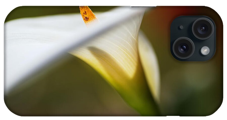 Zantedeschia Aethiopica iPhone Case featuring the photograph Proud Lily by Joy Watson