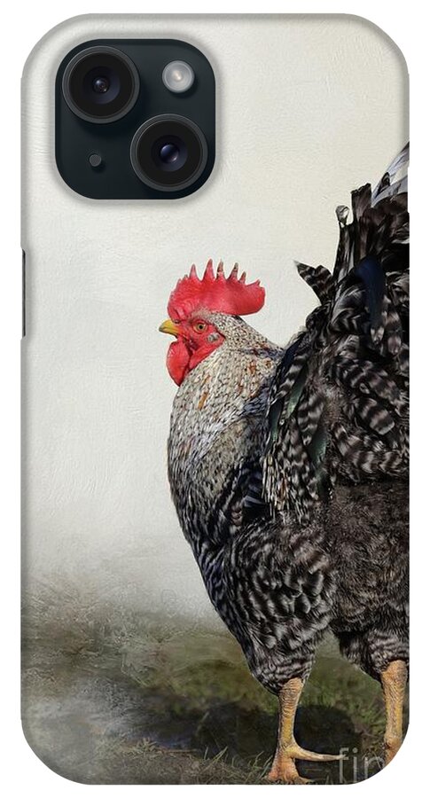 Rooster iPhone Case featuring the photograph Proud Rooster by Eva Lechner