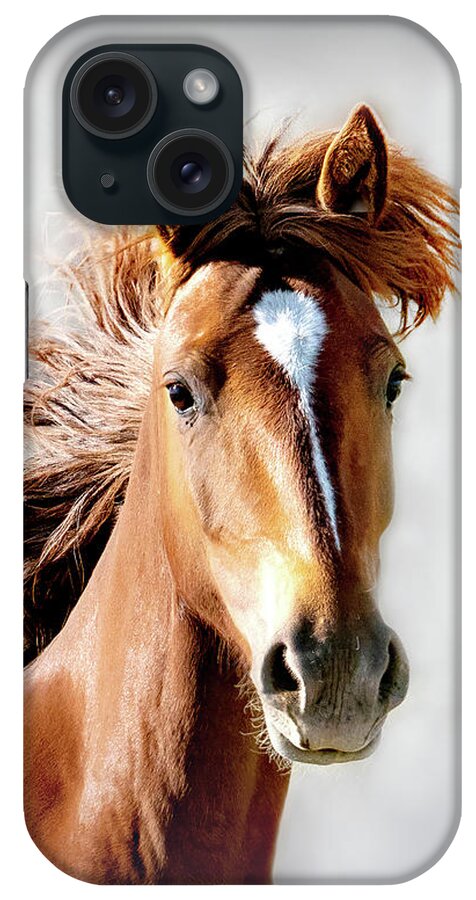 Horses iPhone Case featuring the photograph Proud Wildness Portrait by Judi Dressler