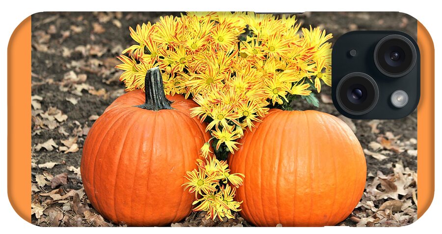 Nature iPhone Case featuring the photograph Pumpkins and Mums by Sheila Brown