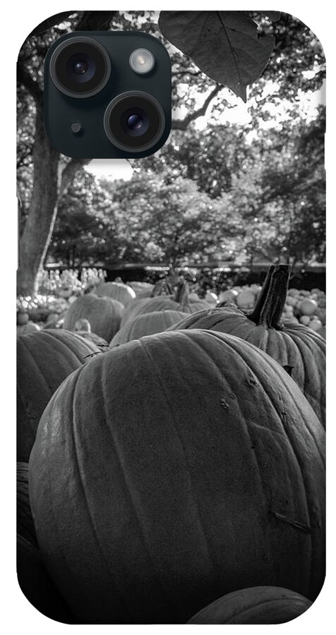 Pumpkins iPhone Case featuring the photograph Pumpkins in BW by Pam Rendall