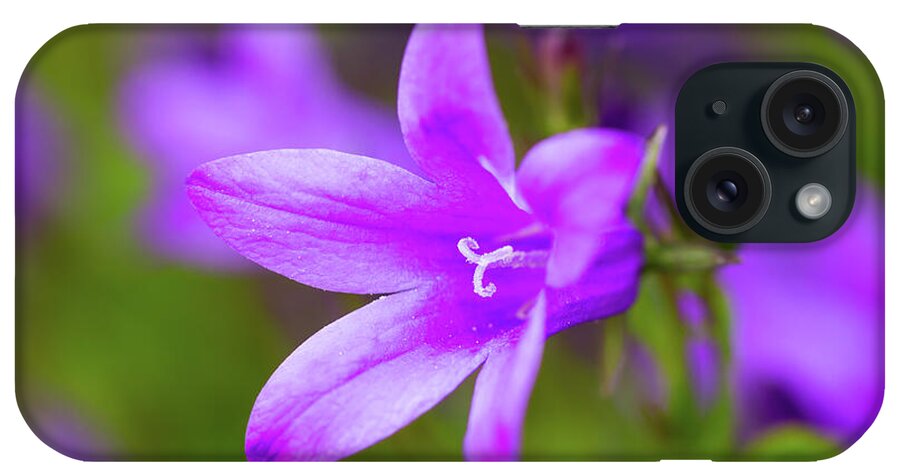 Purple Bellflower iPhone Case featuring the photograph Purple Bellflower by Tanya C Smith