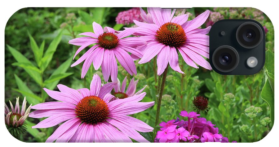 Phlox iPhone Case featuring the photograph Purple Coneflowers with Pholx by Steve Augustin