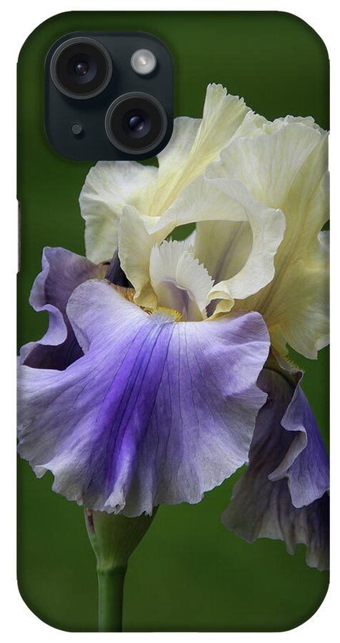 Bearded iPhone Case featuring the photograph Purple Cream Bearded Iris by Patti Deters