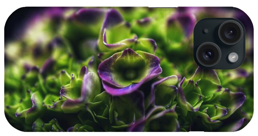 Photo iPhone Case featuring the photograph Purple Crown Close up by Evan Foster
