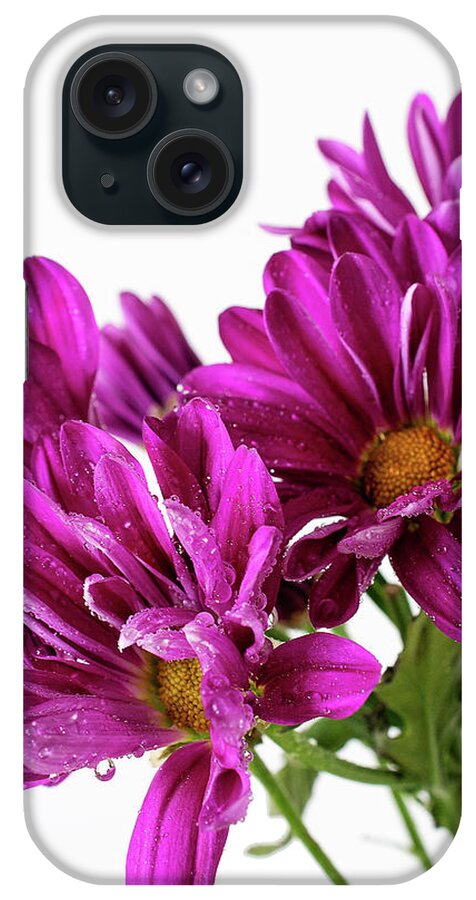 Purple Daisy Flower Photo Wall Art iPhone Case featuring the photograph Purple Daisy Flower Photo Art by Gwen Gibson