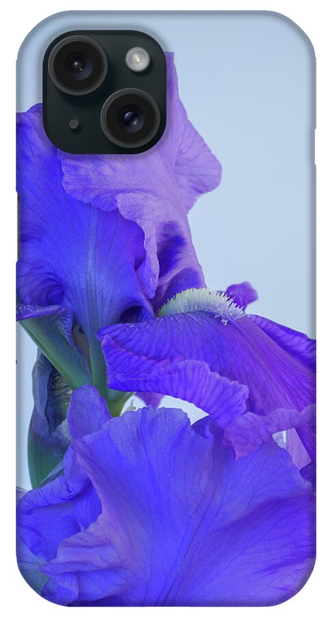 Irises iPhone Case featuring the photograph Purple Iris Blooms in Spring 5 by Lindsay Thomson