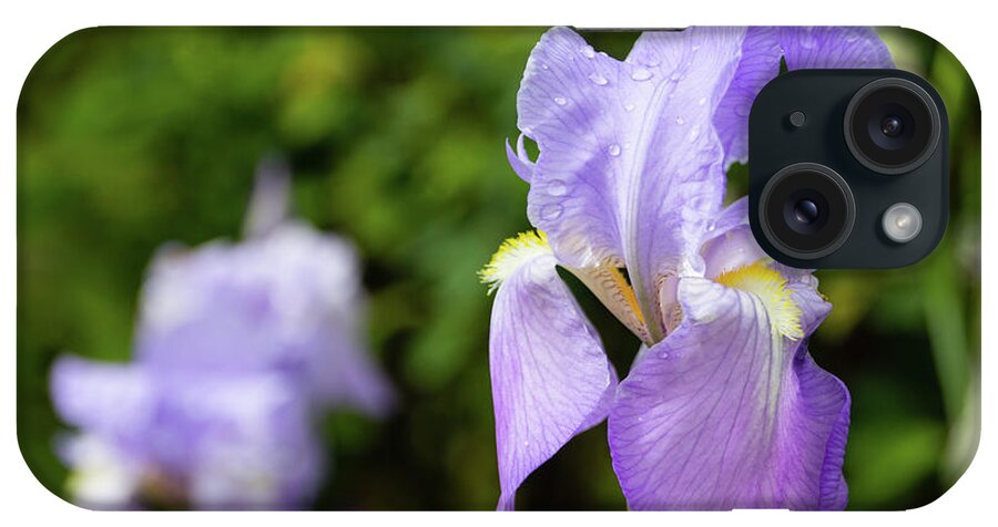 Iris iPhone Case featuring the photograph Purple iris by Fabiano Di Paolo