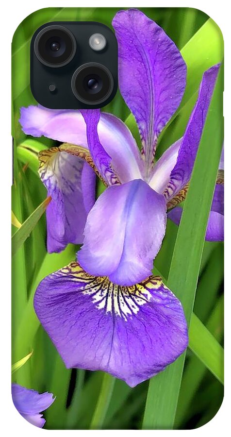 Flower iPhone Case featuring the photograph Purple Iris in the Green Grass by Lisa Pearlman