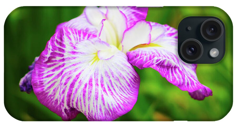 Flower iPhone Case featuring the photograph Purple Iris Passion by Marcus Jones