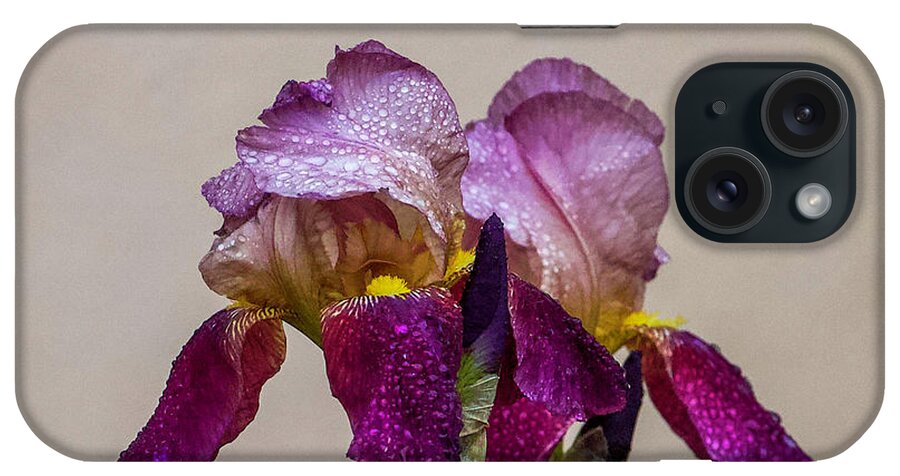 Iris iPhone Case featuring the photograph Purple Iris by Shirley Dutchkowski
