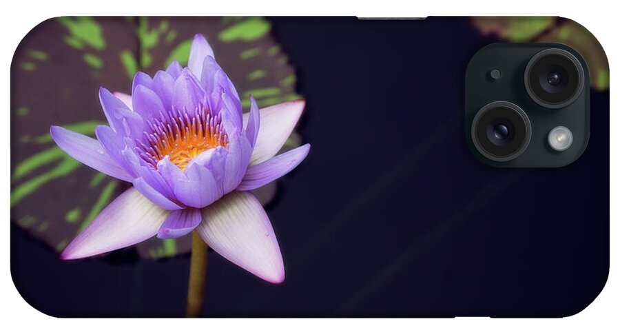 Purple iPhone Case featuring the photograph Purple lotus by Stacy Abbott