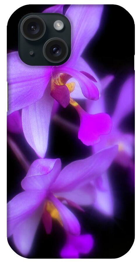 Purple iPhone Case featuring the photograph Purple Orchids on Black by Teresa Wilson