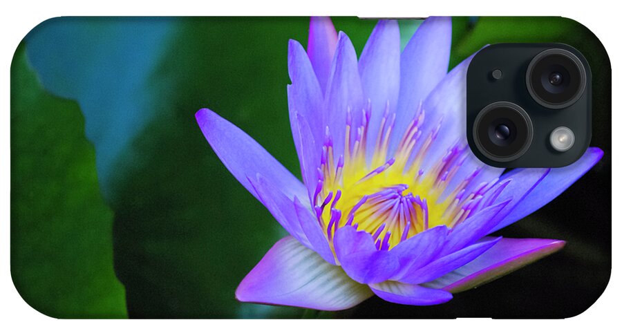 Exotic Flower iPhone Case featuring the photograph Purple Water Lily by Christi Kraft