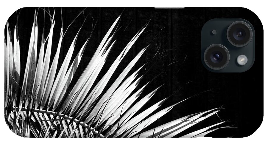 Landscape iPhone Case featuring the photograph Radiance Fan by Mark Reiners