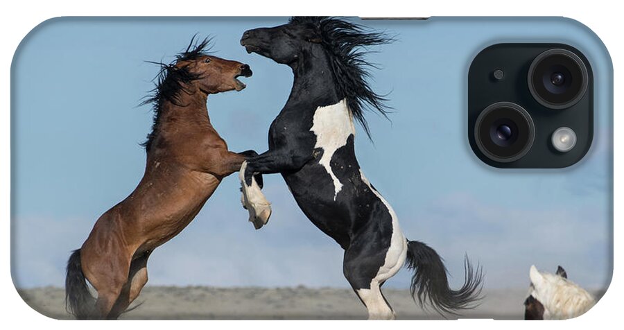 Wild Horses iPhone Case featuring the photograph Rage by Sandy Sisti