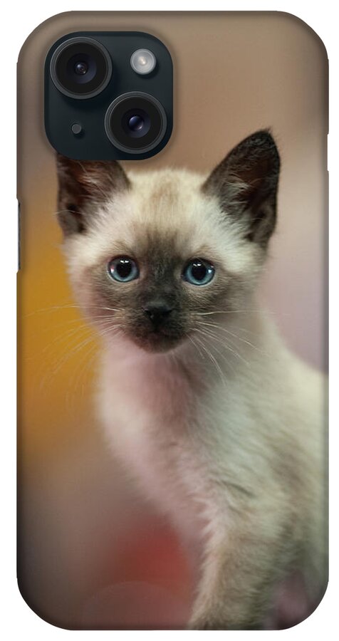 Cat iPhone Case featuring the photograph Ragnar by DArcy Evans