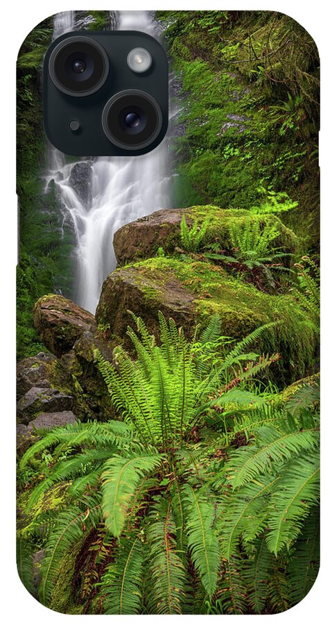 Quinault Rain Forest iPhone Case featuring the photograph Rain forest waterfall by Robert Miller