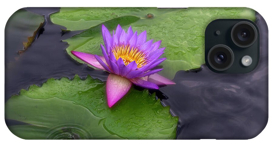 Summer iPhone Case featuring the photograph Raindrops and lilies. by Usha Peddamatham