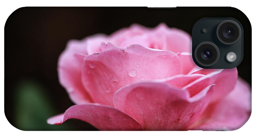  iPhone Case featuring the photograph Raindrops on Pink by Nicole Engstrom