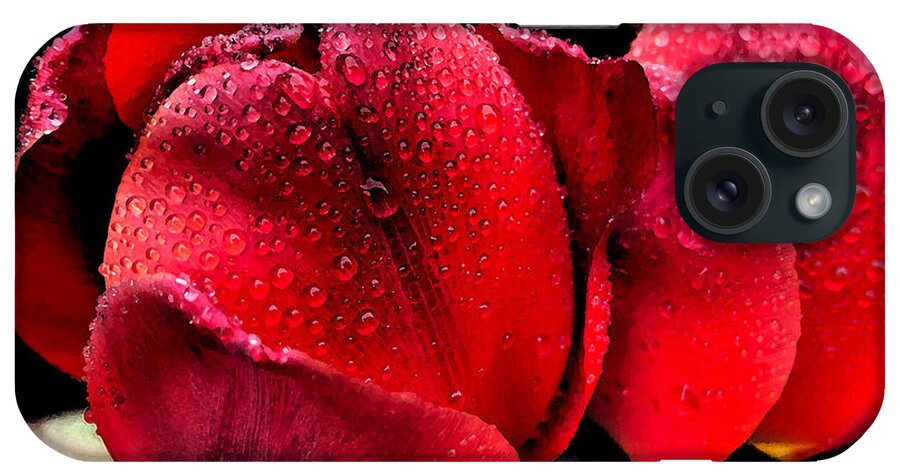 Tulips iPhone Case featuring the photograph Raindrops on Tulips by Jeanette French