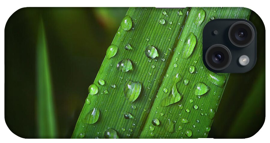 Drops iPhone Case featuring the photograph Raindrops by Scott Norris