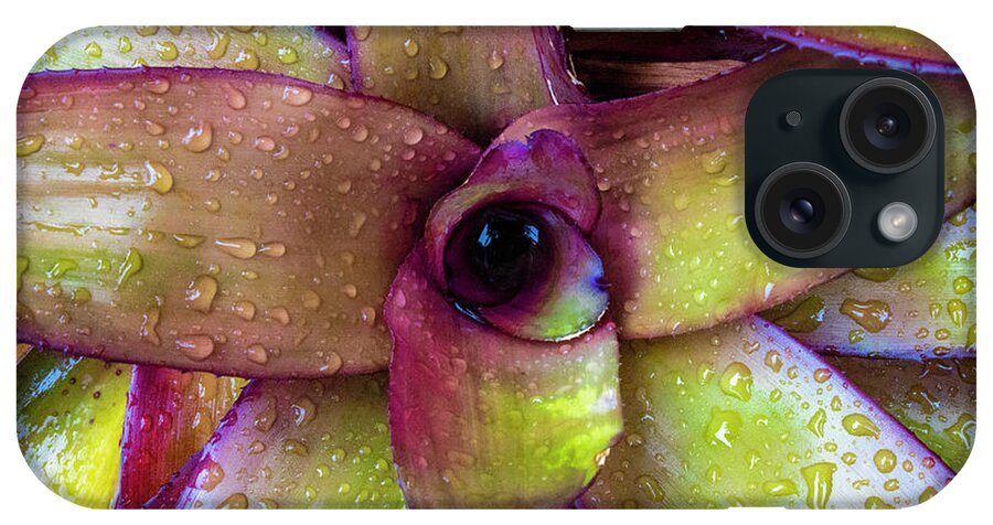 Bromeliad iPhone Case featuring the photograph Rainy Day Bromeliad by Blair Damson