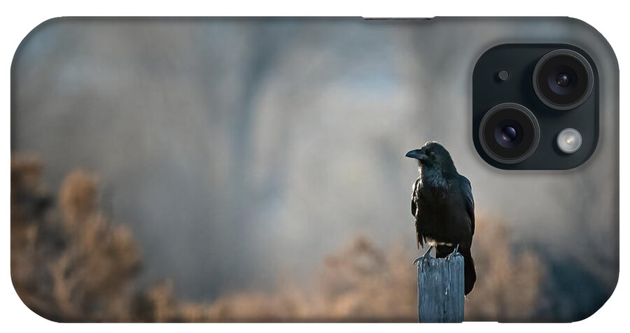 Raven iPhone Case featuring the photograph Raven by Rick Mosher