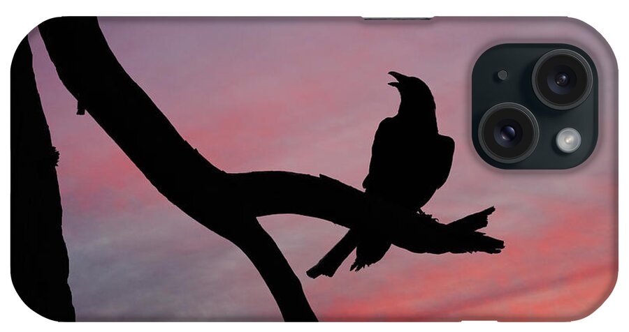 Adult iPhone Case featuring the photograph Raven Silhouette by Jeff Goulden