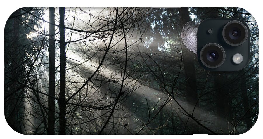 Forest iPhone Case featuring the photograph Rays of light in the forest 2 by Adriana Mueller
