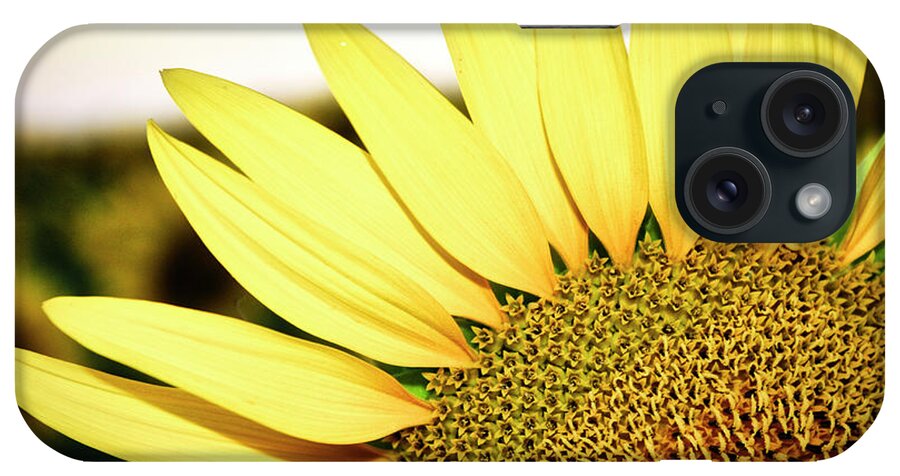 Closeup iPhone Case featuring the photograph Rays of sun by Maria Dimitrova
