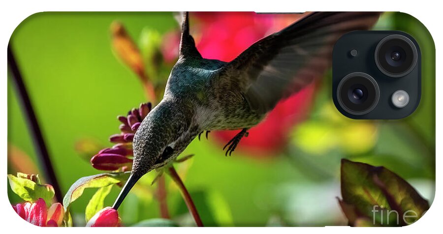 Hummingbird iPhone Case featuring the photograph Reaching for a Meal by Michael Dawson