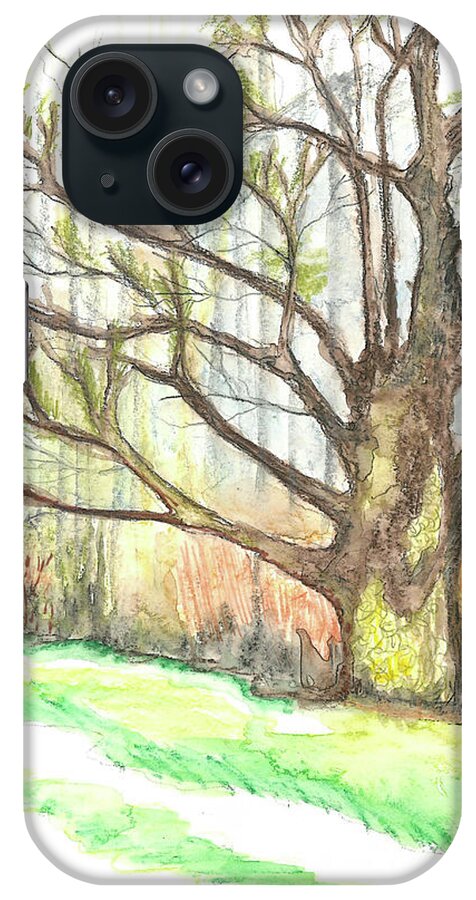 Trees iPhone Case featuring the painting Reaching by Patricia Arroyo