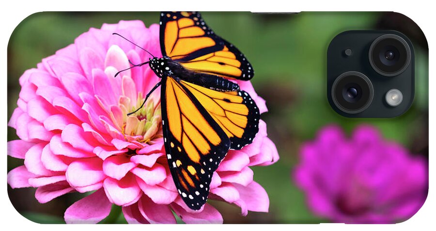 Butterfly iPhone Case featuring the photograph Ready for Takeoff by Patty Colabuono