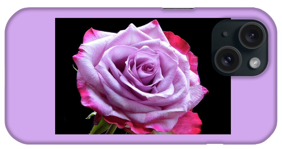 Rose iPhone Case featuring the photograph Red and Pink Rose by Terence Davis