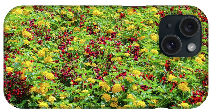 British Columbia iPhone Case featuring the photograph Red and Yellow Garden Patch by Nancy Gleason