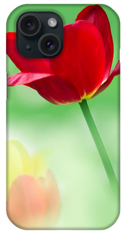Art iPhone Case featuring the photograph Red and Yellow Tulips by Joan Han