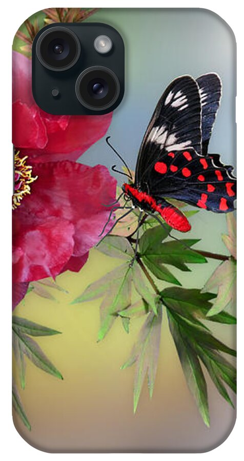 Red Flower iPhone Case featuring the mixed media Red Attraction by Morag Bates