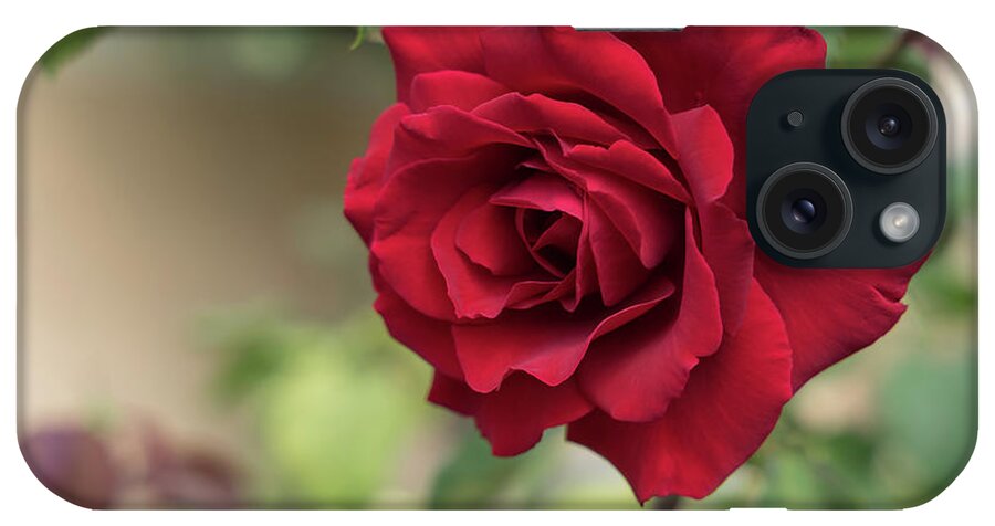 Red Rose iPhone Case featuring the photograph Red beauty in the garden by Adriana Mueller