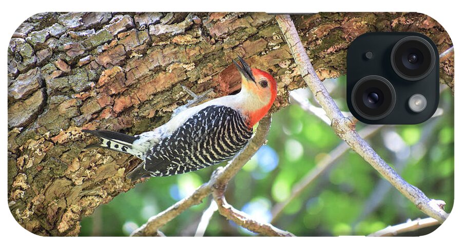 Woodpeckers iPhone Case featuring the photograph Red-bellied Woodpecker by Anita Streich