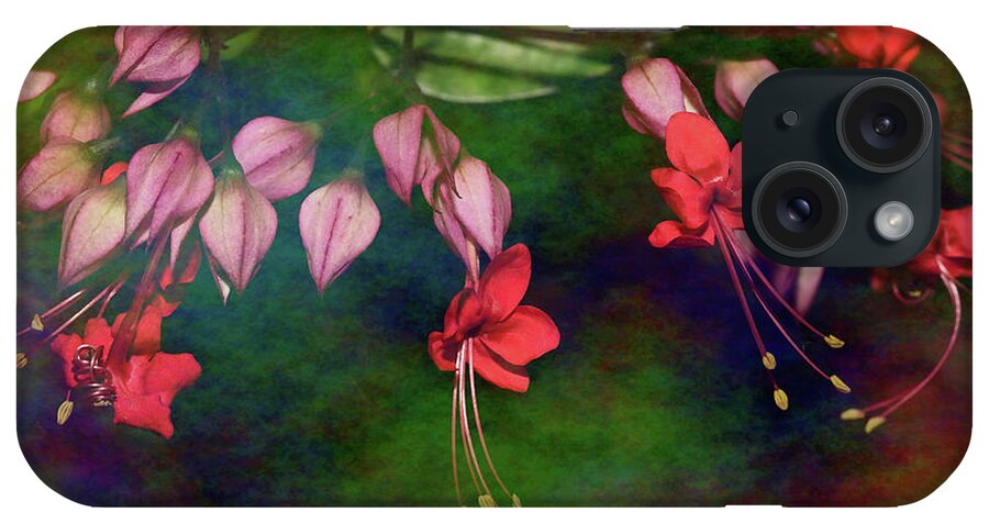 Red Bleeding Heart iPhone Case featuring the photograph Pink Bleeding Heart by Mingming Jiang